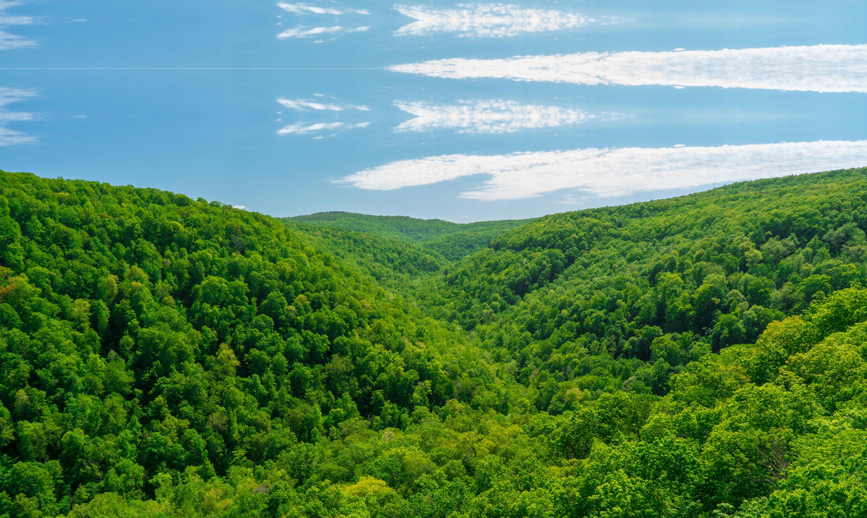 A landscape image of the Ozark mountains. One of the areas where Air Dynamics HVAC conducts air conditioning repairs.